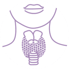 Tireoide