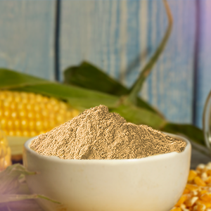 Concentrado de milho para nutrição animal, biotecnologia e economia circular