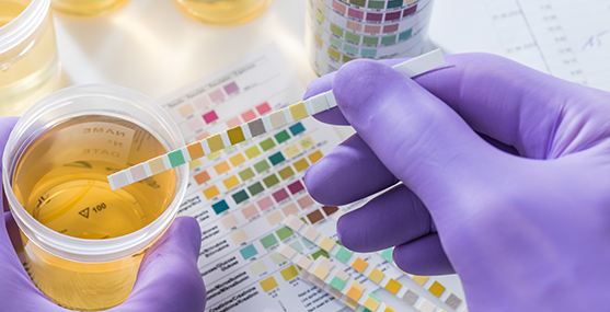 Imagem Análises Clínicas