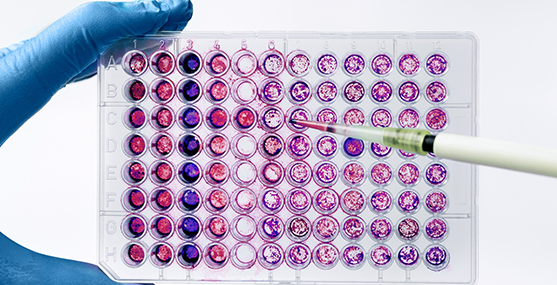 Imagem Análises Clínicas