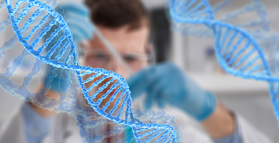 Imagem Análises Clínicas