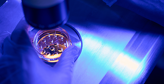 Imagem Análises Clínicas