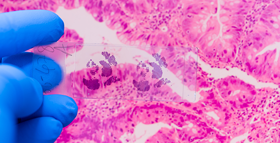 Imagem Análises Clínicas