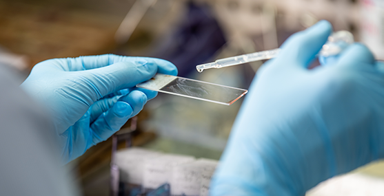 Imagem Análises Clínicas